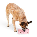 Dog Lick Mat – Slow Feeder & Anxiety Relief Mat